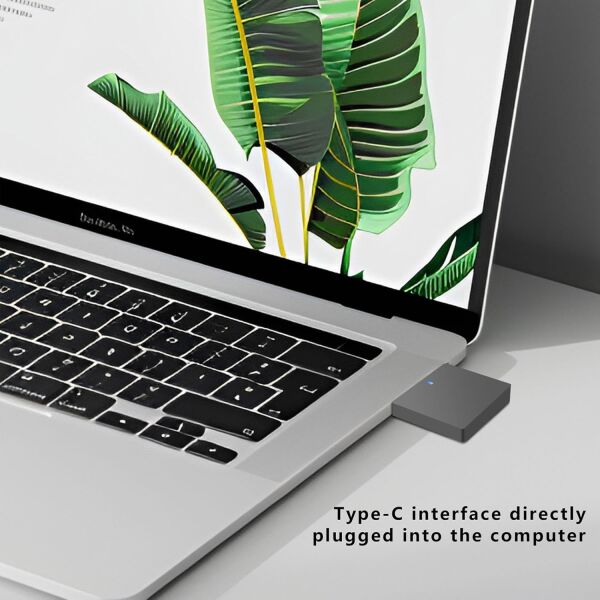 Taşınabilir M.2 Nvme Okuyucu Alüminyum Kasa