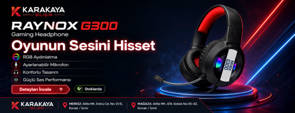 Raynox G300 RGB Gaming Kulaklık